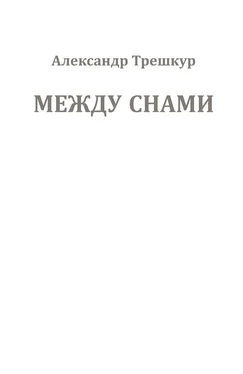 Александр Трешкур Между снами обложка книги