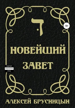 Алексей Брусницын Новейший Завет обложка книги