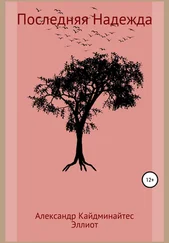 Array Эллиот - Последняя Надежда