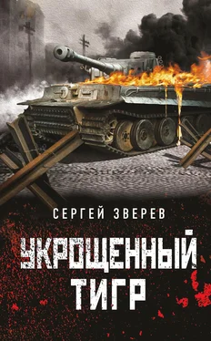 Сергей Зверев Укрощенный тигр обложка книги