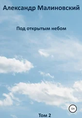Александр Малиновский - Под открытым небом. Том 2