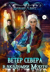 Диана Хант - Ветер Севера в Академии Морте