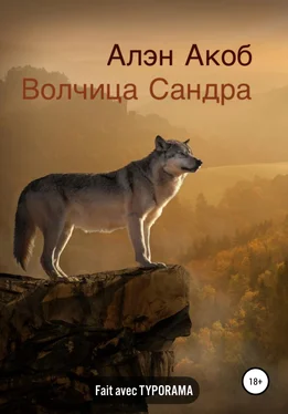 Алэн Акоб Волчица Сандра обложка книги