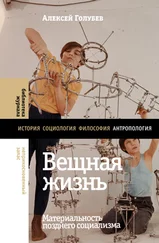 Алексей Голубев - Вещная жизнь. Материальность позднего социализма