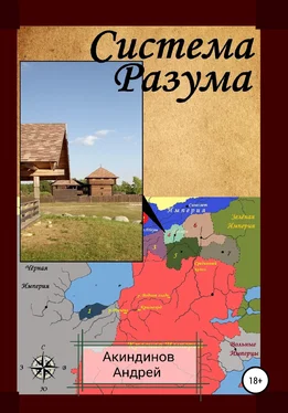 Андрей Акиндинов Система Разума обложка книги