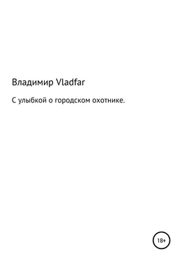 Владимир Vladfar С улыбкой о городском охотнике обложка книги