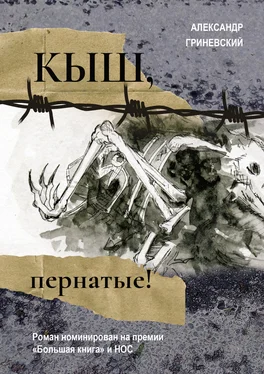 Александр Гриневский Кыш, пернатые! обложка книги