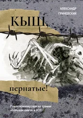 Александр Гриневский - Кыш, пернатые!