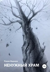 Роман Воронов - «Ненужный» Храм