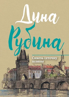 Дина Рубина Сквозь сеточку шляпы (сборник) обложка книги