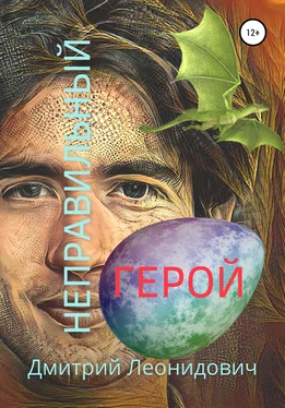 Дмитрий Леонидович Неправильный герой обложка книги