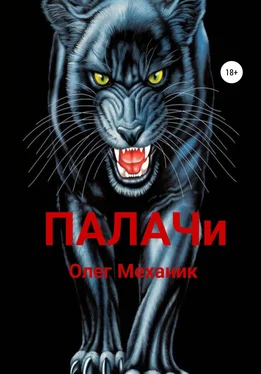 Олег Механик Палачи обложка книги