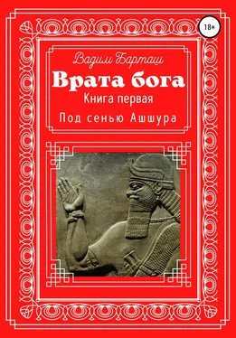 Вадим Барташ Врата Бога. Книга первая. Под сенью Ашшура обложка книги