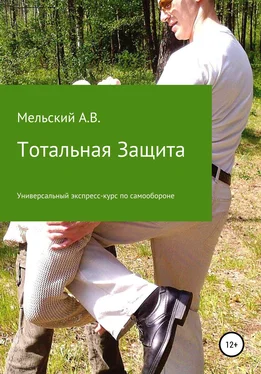 Александр Мельский Тотальная Защита обложка книги