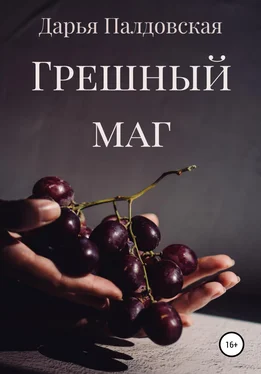 Дарья Палдовская Грешный маг обложка книги