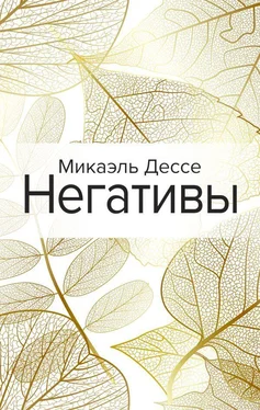 Микаэль Дессе Негативы обложка книги