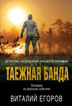 Виталий Егоров Таежная банда обложка книги