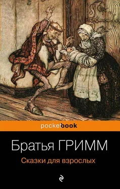 Якоб и Вильгельм Гримм Сказки для взрослых обложка книги