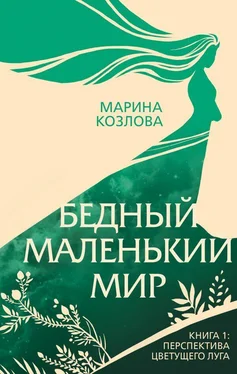 Марина Козлова Бедный маленький мир. Книга 1. Перспектива цветущего луга обложка книги