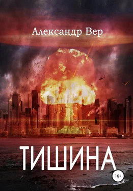 Александр Вер Тишина обложка книги