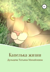 Татьяна Дульцева - Капелька жизни. Книга вторая