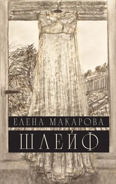 Елена Макарова Шлейф обложка книги