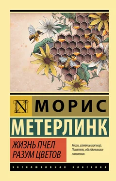 Морис Метерлинк Жизнь пчел. Разум цветов обложка книги