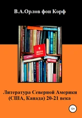 Валерий Орлов фон Корф - Литература Северной Америки - США, Канада 20-21 века