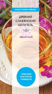 Виктор Зайцев Древний славянский целитель иван-чай обложка книги