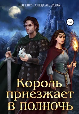 Евгения Александрова Король приезжает в полночь обложка книги