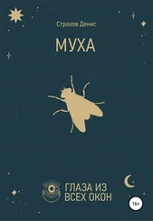 Денис Страхов - Муха