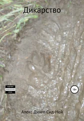Алекс Динго Сид-Ней - Дикарство