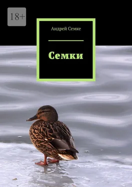 Андрей Семке Семки обложка книги