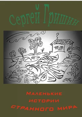 Сергей Гришин Маленькие истории странного мира обложка книги