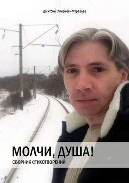 Дмитрий Смирнов-Муравьёв Молчи, душа! обложка книги