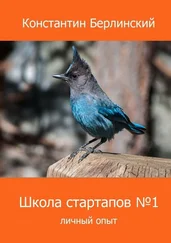 Константин Берлинский - Школа стартапов №1 - Личный опыт. 2-ое издание с иллюстрациями