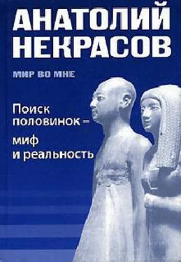 Анатолий Некрасов Поиск половинок - миф и реальность обложка книги