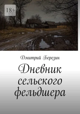 Дмитрий Березин Дневник сельского фельдшера обложка книги