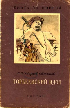 Иван Скворцов-Степанов Торбеевский идол обложка книги