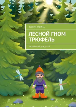 Ксения Кавина Лесной гном Трюфель. Английский для детей обложка книги