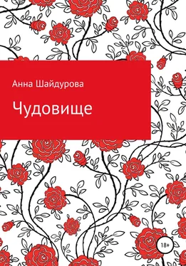 Анна Шайдурова Чудовище обложка книги