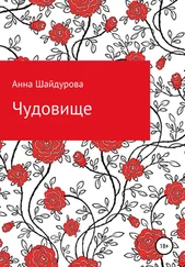 Анна Шайдурова - Чудовище