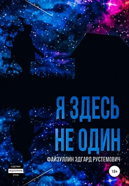 Эдгард Файзуллин Я здесь не один обложка книги