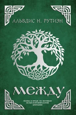 Альвдис Рутиэн Между обложка книги