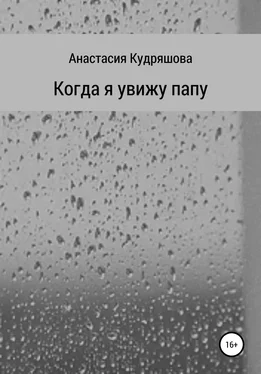 Анастасия Кудряшова Когда я увижу папу обложка книги