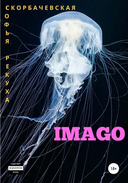 Array Скорбачевская Imago обложка книги