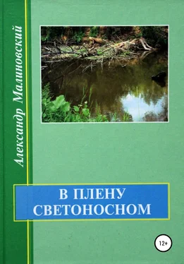 Александр Малиновский В плену светоносном обложка книги