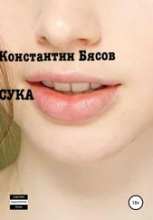 Константин Бясов - Сука