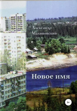 Александр Малиновский Новое имя обложка книги