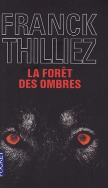 Franck Thilliez La forêt des ombres обложка книги